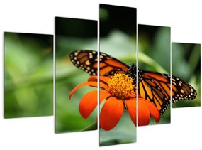 Tablou cu fluture pe floare (150x105 cm)