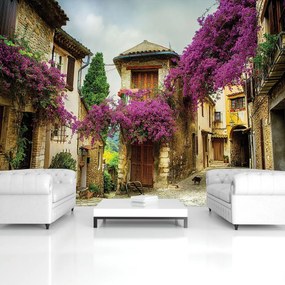 Fototapet - Curte (152,5x104 cm)