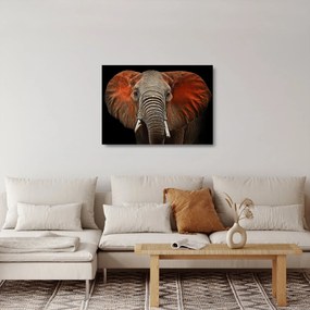 Tablou pe sticlă - Elefanți cu Tsavo (70x50 cm)