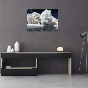 Tablou pe sticlă - Albă ca Zăpada Albă ca Zăpada Copaci (70x50 cm)