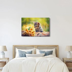 Tablou cu pisicuța uitându-se la floare (90x60 cm)