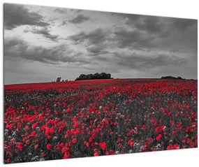 Tablou cu maci (90x60 cm)