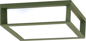 Aplica perete sau tavan de exterior IP44 HENRY verde