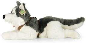 Jucărie pluș Rappa câine husky cu ham 60 cm ECO - FRIENDLY