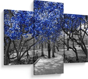 Tablou - Copaci albaștri Central Park, New York (90x60 cm)