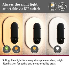 Paulmann 94958 - LED/18,5W IP65 Aplică de perete pentru exterior reglabilă ELUNOR 230V