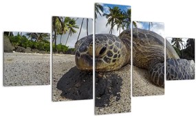 Tablou cu broască țestoasă (125x70 cm), în 40 de alte dimensiuni noi