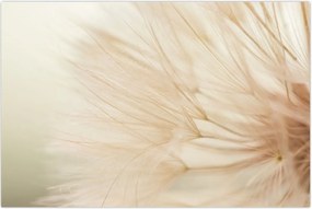 Tablou - Detaliu flori (90x60 cm)