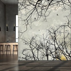 Fototapet - Treetops (147x102 cm)