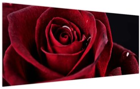 Tablou - Trandafir roșu (120x50 cm)