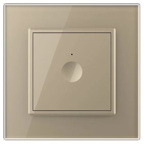 Intrerupator Simplu Cap Scara / Cruce cu Touch LIVOLO cu Rama din Sticla – Protocol Zigbee EC