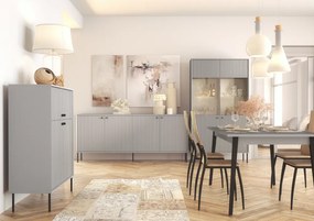 Dulap ARIS 2D2D, gri