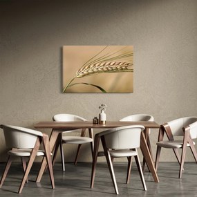 Tablou - Grâu (90x60 cm)