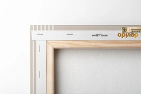 Tablou modele elegante cu cercul Mid-Century