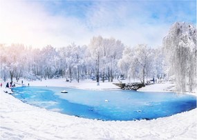 Tablou pe sticlă - Lac de gheață (70x50 cm)