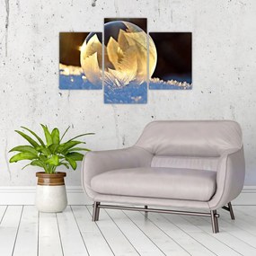 Tablou cu bulină înghețată (90x60 cm)