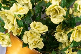 Aranjament floral mediu design LUX AMPHORA ROSELLINE