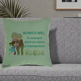 Cadou pentru Bunici - Perna Personalizata Bunicii Mei Comoara Iubire Intelepciune Nepoata, 40x40 cm, Verde, Husa Detasabila, Perna Inclusa, BEKZ®