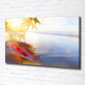 Print pe canvas Seashell pe plaja