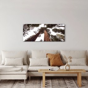 Tablou - Privire prin vârfurile copacilor (120x50 cm)