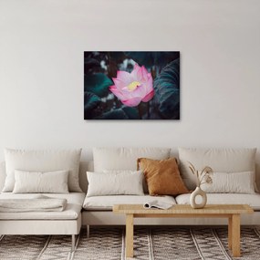 Tablou cu floare roz (70x50 cm)
