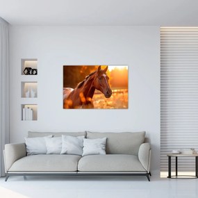 Tablou - Cal în apus de soare (90x60 cm)