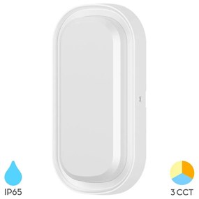 Aplica LED exterior 12W, lumina calda/neutra/rece, IP65, 1320lm, alba, Braytron