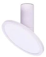 Rabalux 71328 - Plafonieră LED OVIDIA, 20W, 230V, 3000K, albă