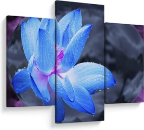 Tablou florilor în detailu (90x60 cm)