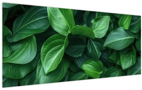 Tablou - Frunze verzi (120x50 cm)