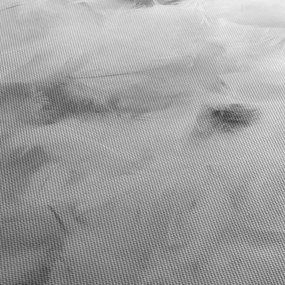 Tablou - Nori de pene (cu ceas) (90x30 cm)