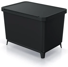 Coș de gunoi, 2 x 23 l, negru