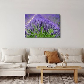 Tablou - lavanda (90x60 cm)