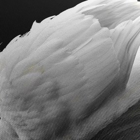 Tablou cu lebăda alb neagră (120x50 cm)