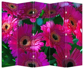 Paravan - Floare (210x170 cm)