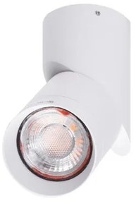Spot modern directionabil aplicat tavan/plafon SANTOS GU10 alb