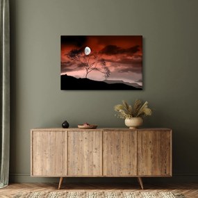 Tablou - Luna luminează noaptea (90x60 cm)
