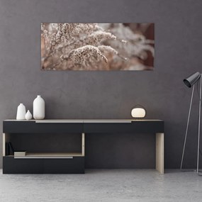 Tablou cu plante (120x50 cm)