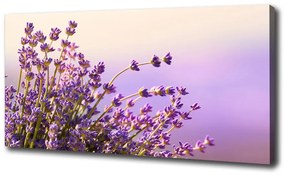 Imprimare tablou canvas Lavandă