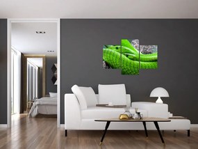 Tablou cu șerpi verzi (90x60 cm)