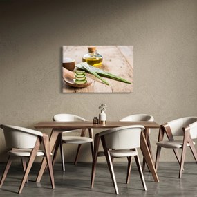 Tablou - Aloe vera (90x60 cm)