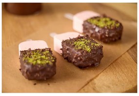 Formă pentru înghețată din silicon – Blomsterbergs