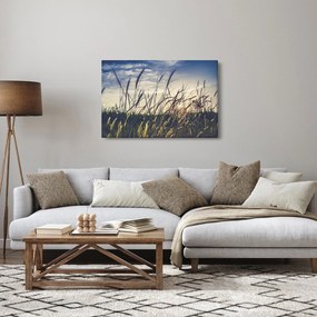 Tablou cu flori de câmp (90x60 cm)