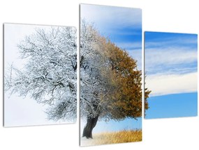 Tablou - Schimbarea anotimpurilor (90x60 cm)