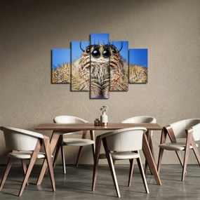 Tablou cu detalii a unui pâianjen (150x105 cm)
