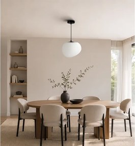 BRILAGI - Lustră pe cablu PEBBLES 1xE27/40W/230V Ø 25 cm negru