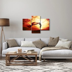 Tablou - Silueta femeii la apus de soare (90x60 cm)