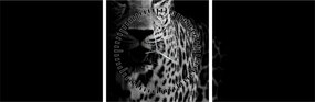 Tablou - Portret de leopard (cu ceas) (90x30 cm)