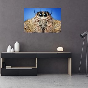 Tablou cu detalii a unui pâianjen (90x60 cm)