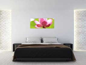 Tablou cu flori de lotus (120x50 cm)